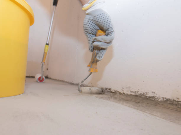 Best Pest Control for Multi-Family Homes  in Bridgeport, MI